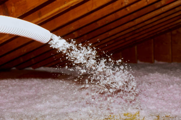 Best DIY Insulation Kits and Guidance in Bremerton, WA